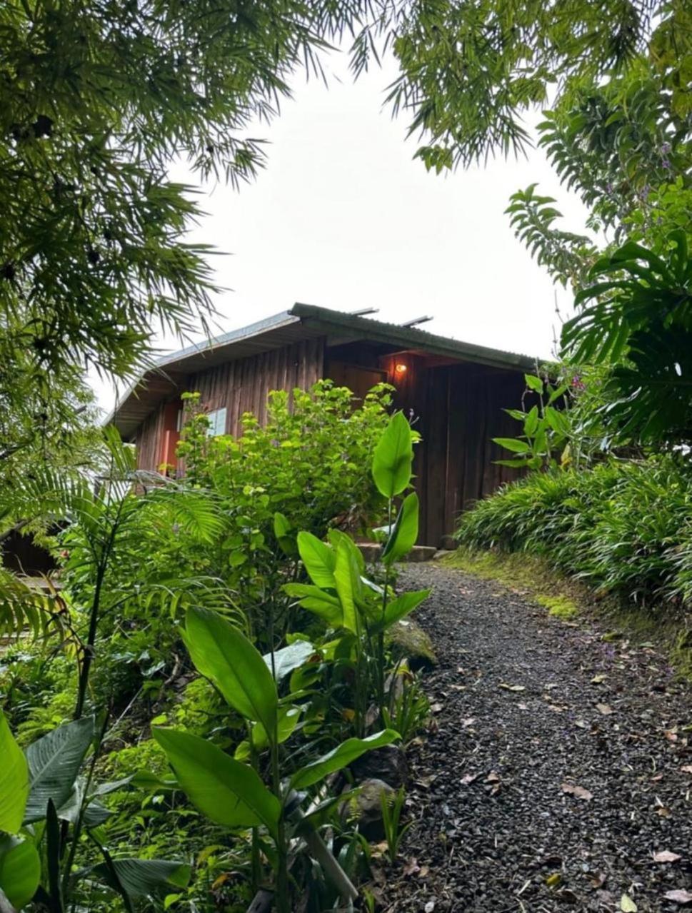 El Toucanet Lodge Copey Exterior foto